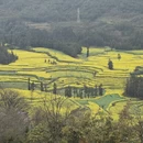 昆明旅游 缩略图 9