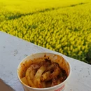 重庆旅游 缩略图 15