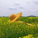 重庆旅游 缩略图 3