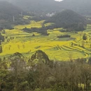 昆明旅游 缩略图 7