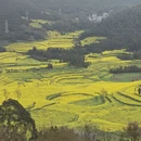 昆明旅游 缩略图 3