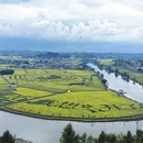 重庆旅游 缩略图 1