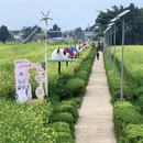 重庆旅游 缩略图 3