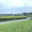 重庆旅游 缩略图 7