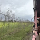重庆旅游 缩略图 10