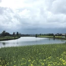 重庆旅游 缩略图 8