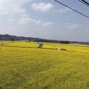 重庆旅游 缩略图 5