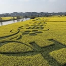 重庆旅游 缩略图 4