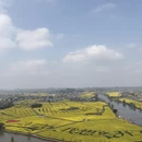 重庆旅游 缩略图 2