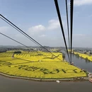 重庆旅游 缩略图 3