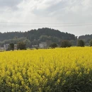 重庆旅游 缩略图 10