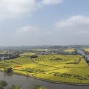 重庆旅游 缩略图 1