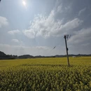 重庆旅游 缩略图 6