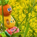 重庆旅游 缩略图 8