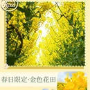 重庆旅游 缩略图 1