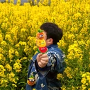 重庆旅游 缩略图 5