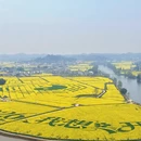 重庆旅游 缩略图 1