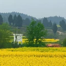 重庆旅游 缩略图 12