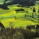 昆明旅游 缩略图 3