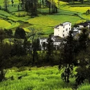 昆明旅游 缩略图 1