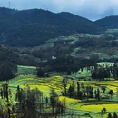 昆明旅游 缩略图 4