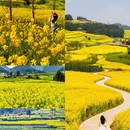 昆明旅游 缩略图 2