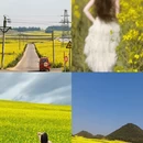 昆明旅游 缩略图 4