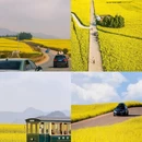 昆明旅游 缩略图 3