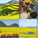昆明旅游 缩略图 6