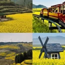 昆明旅游 缩略图 7