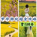 昆明旅游 缩略图 1