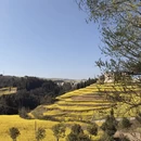 遵义旅游 缩略图 7