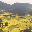 遵义旅游 缩略图 4
