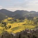 遵义旅游 缩略图 6