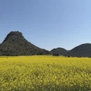 昆明旅游 缩略图 3