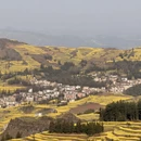 遵义旅游 缩略图 11