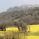 遵义旅游 缩略图 13