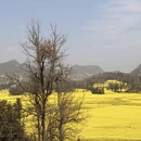 遵义旅游 缩略图 12