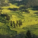曲靖旅游 缩略图 8
