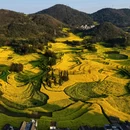 曲靖旅游 缩略图 2