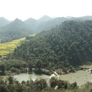 曲靖旅游 缩略图 12