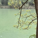 昆明旅游 缩略图 5