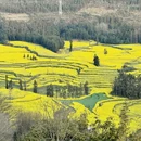 曲靖旅游 缩略图 5