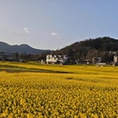 曲靖旅游 缩略图 9