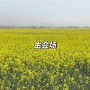昆明旅游 缩略图 1