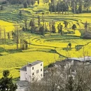 曲靖旅游 缩略图 3