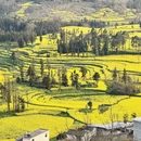 曲靖旅游 缩略图 6