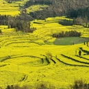曲靖旅游 缩略图 4