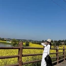重庆旅游 缩略图 1