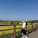 重庆旅游 缩略图 4